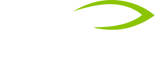 Vigilor