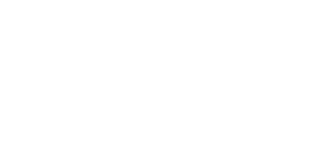 Vigilor Logo_white
